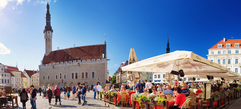 Tallinn Walking + Driving Private Tour