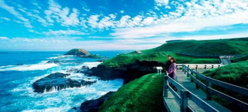 Phillip Island Penguin Parade Tour With Penguin Plus Upgrade