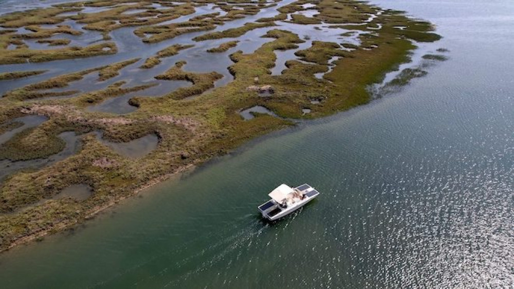 Small Group Eco Boat Tour in Ria Formosa from Faro