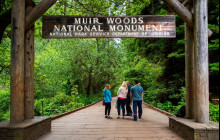 Extranomical Tours3