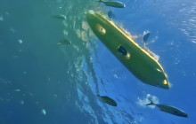 Glass Bottom Kayak & Snorkel At Two Bays