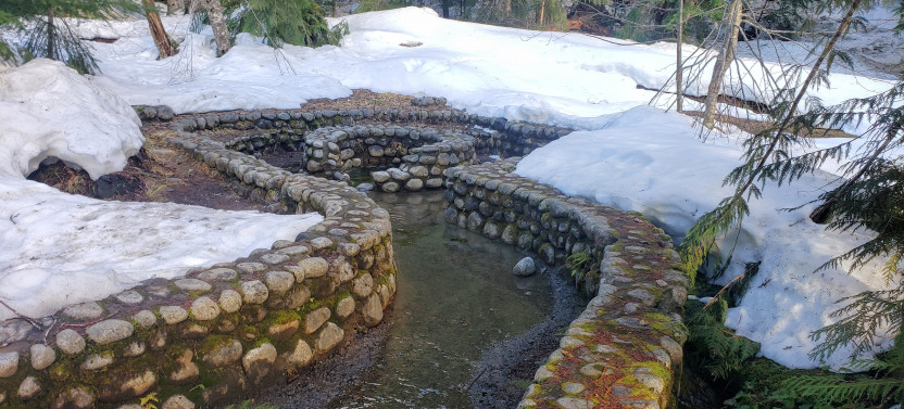 Mt. Rainier - Winter Longmire Small Group Tour