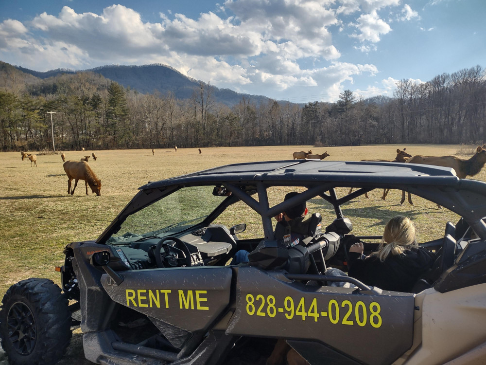 (4 HR.) Guided UTV ECO ELK Wilderness Adventure