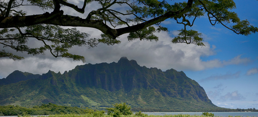Private Best of Oahu Sightseeing - Full Day
