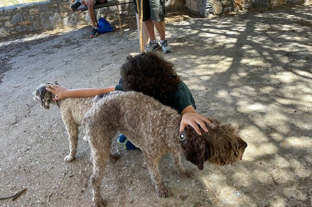 Truffle Hunting, Culinary & Wine Celebration from Heraklion