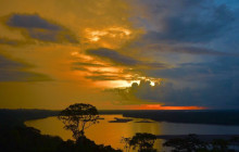 7 Days- Adventure in Quito and explore the Wildlife of Yasuni National Park