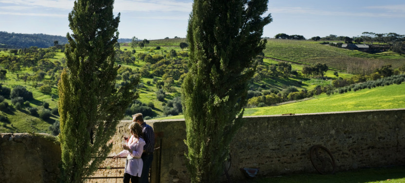 Essential McLaren Vale - Private Day Tour