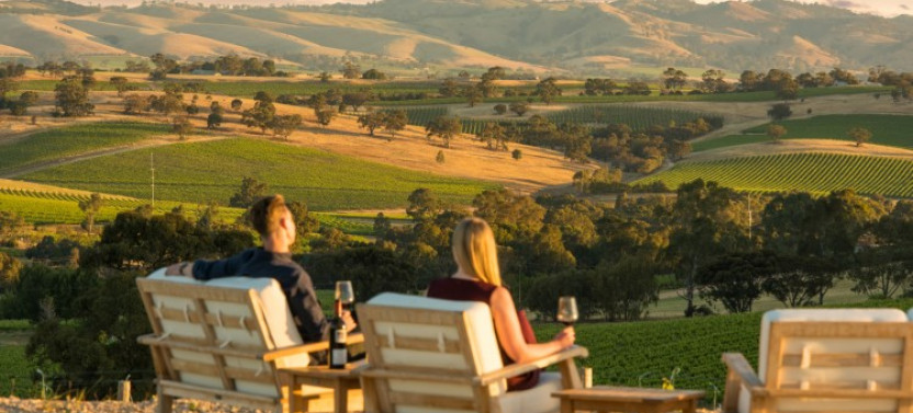Barossa Shiraz Enthusiast - Private Tour