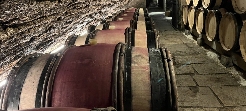 Burgundy Small Group Tour with 14 Wines Tasting From Beaune
