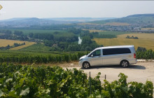 Private Loire Valley Wine tour: Vouvray, Bourgueil and Chinon
