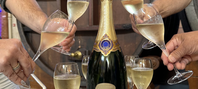 Champagne Day Tour With Tastings: three Family Wineries & Lunch