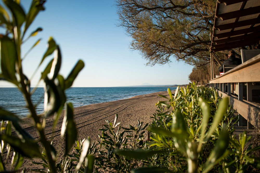 Ancient Olympia & Kourouta Beach Tour - All Included