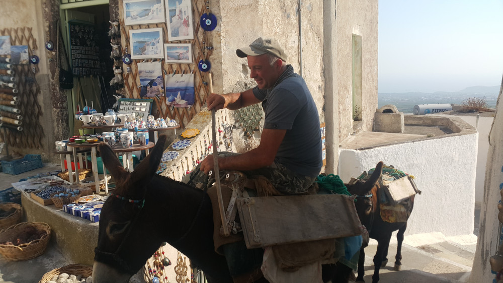 Golden Ibex Events & Tours