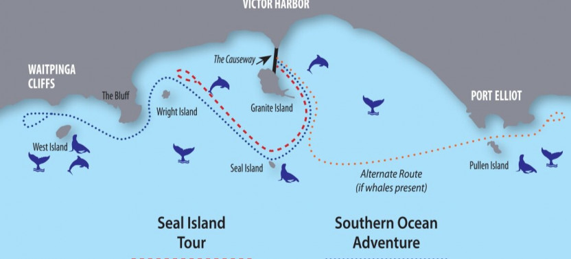 Seal Island Tour