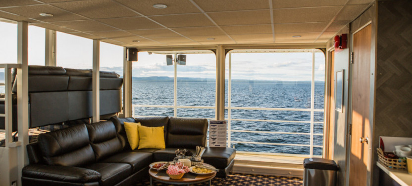 Whale Watching Cruise VIP Lounge St. Laurent - Afternoon