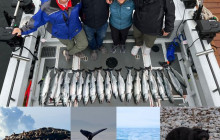 Reel Alaska Fishing Charters7