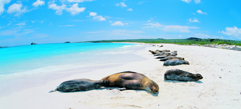 10 Days - Unforgettable Journey Through the Magical Galapagos Islands
