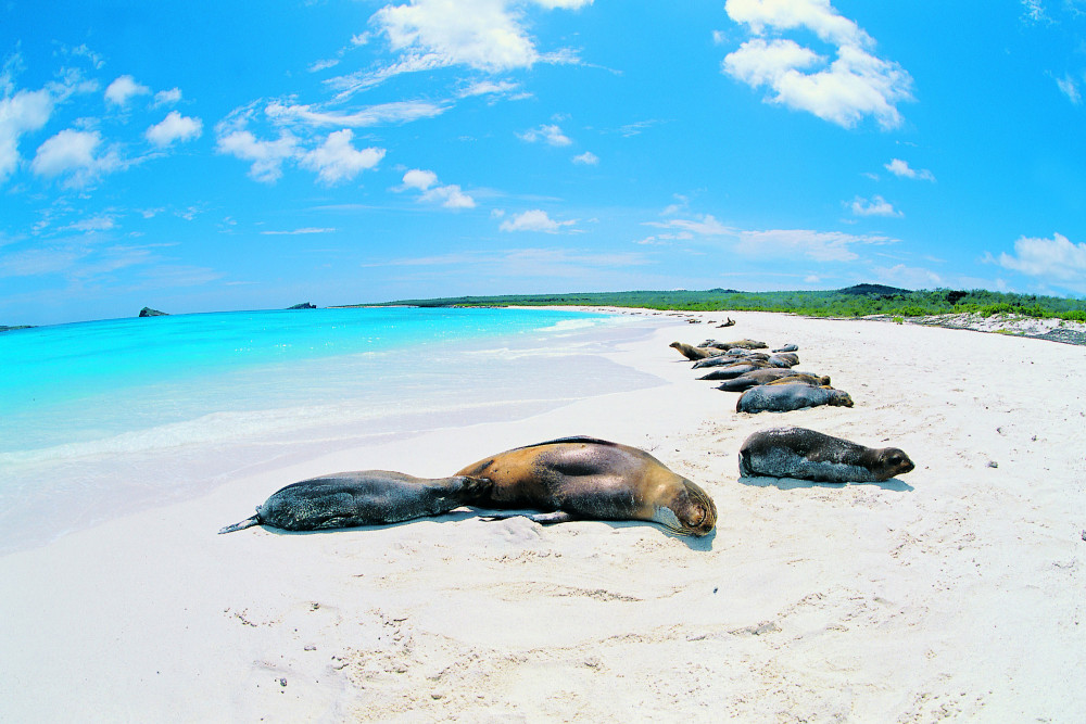 9 Days - Unforgettable Journey Through the Magical Galapagos Islands