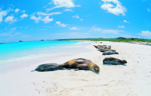 9 Days - Unforgettable Journey through the Magical Galapagos Islands