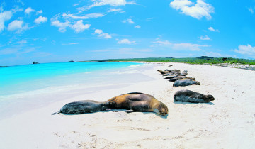 A picture of 9 Days - Unforgettable Journey through the Magical Galapagos Islands