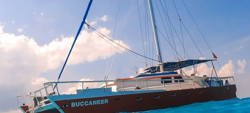 Private Catamaran Sail & Snorkel Tour - 4 Hours