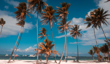 A picture of Private Tailor Made Trips - All Inclusive Resort in Punta Cana