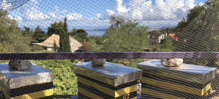 Traditional Hvar Flavors with Honey, Wine, Chocolate, & Olive Oil Tasting