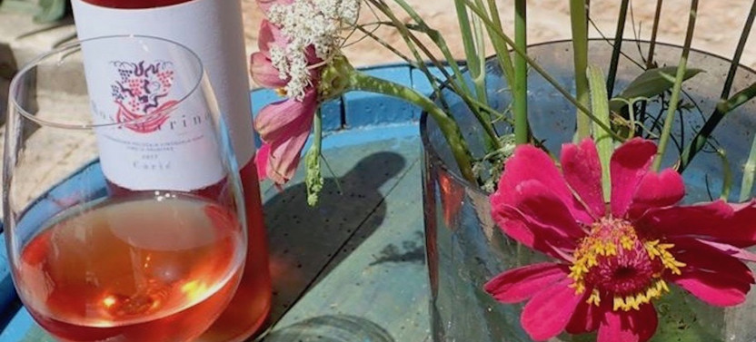 Wine Lover's Tour - Sip and Savor Your Way Through the Wines of Hvar