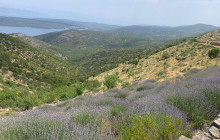 Amazing Hvar Tours DMC3