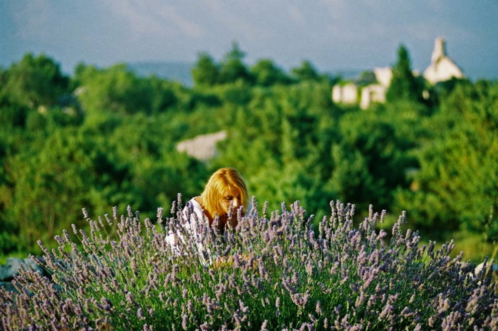 Lavender Tour Around the Village of Brusje