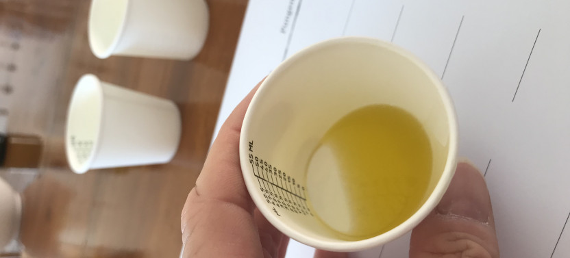 Traditional Hvar Flavors with Honey, Wine, Chocolate, & Olive Oil Tasting