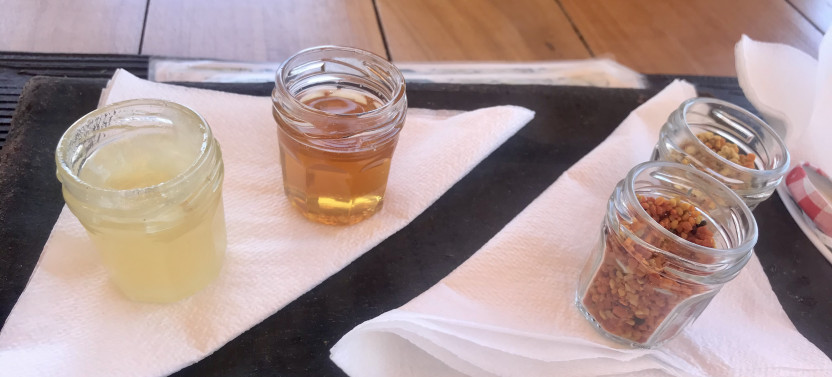 Traditional Hvar Flavors with Honey, Wine, Chocolate, & Olive Oil Tasting