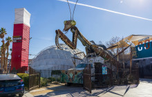 See Sight Tours - Canada74