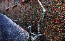 See Sight Tours - Canada83