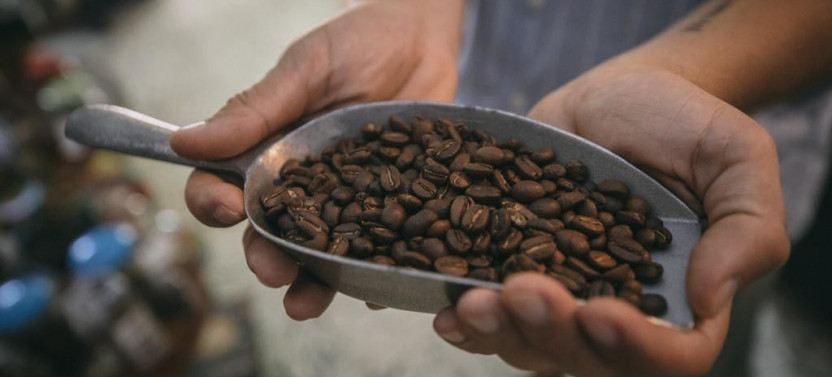Cartagena Coffee Masters Experience