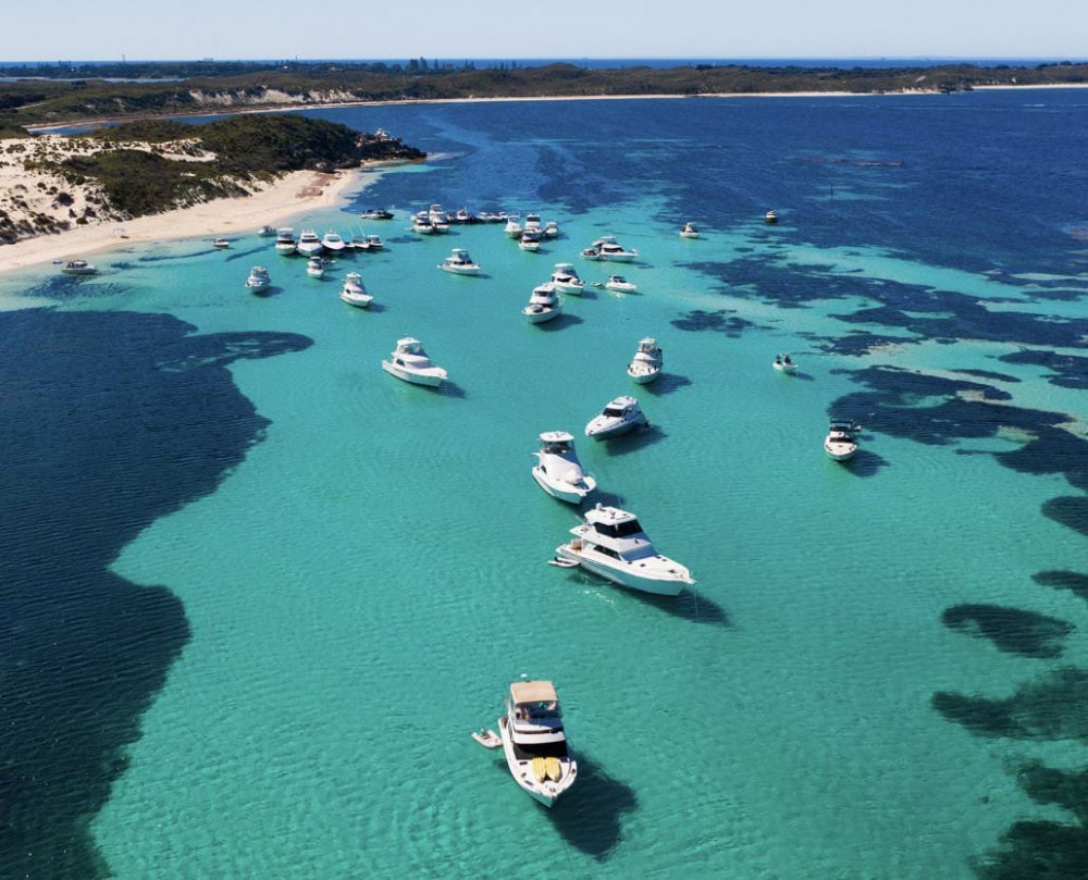 Quokkas Delight Rottnest Island Tour - Perth | Project Expedition