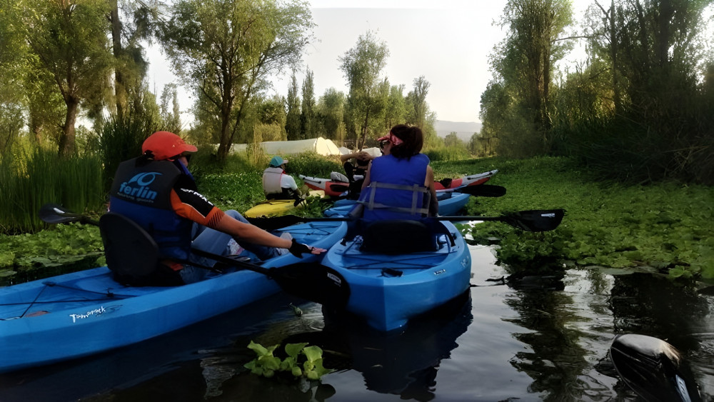 Xochimilco Day Trip: Know a Farmland Food and Hop on a Trajinera