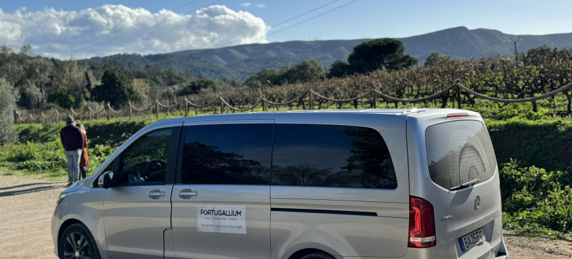Private Full-Day Wine Tour from Lisbon with Tastings