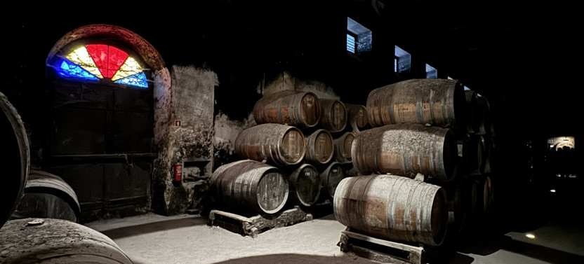 Private Full-Day Wine Tour from Lisbon with Tastings