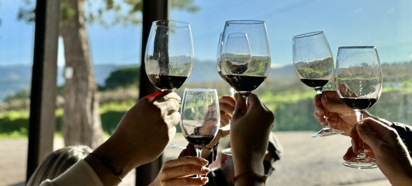Private Full-Day Wine Tour from Lisbon with Tastings