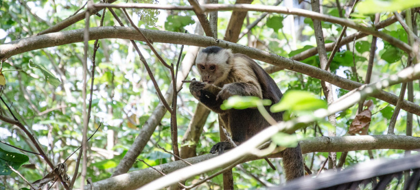 Santa Marta: Tayrona National Park - Trek to Cabo San Juan