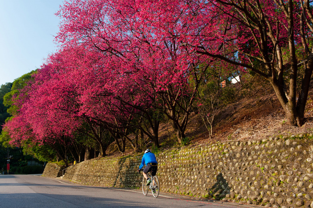 < Sip & Savor: Maokong Tea & Shenkeng Tofu Private Day Tour >