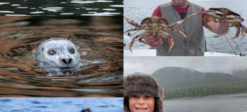 Ketchikan Crabbing, Whales and Wildlife Tour 2-4hrs