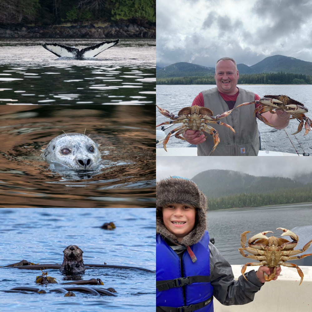 Ketchikan Crabbing, Whales and Wildlife Tour