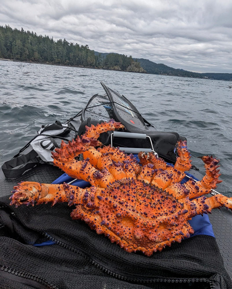 Ketchikan Crabbing, Whales and Wildlife Tour - Ketchikan | Project ...