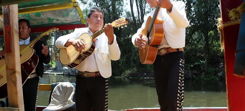 Frida Kahlo Tour Mexico City: Explore Casa Roja and and Sail in Trajiner