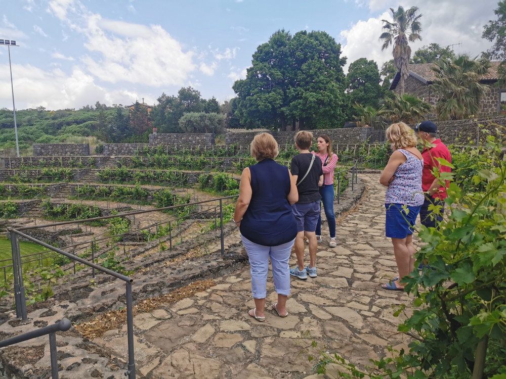 Etna Wine & Taormina From Giardini Naxos Small Group