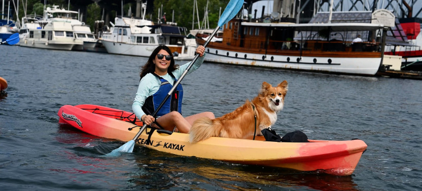 Smooth Classic Kayak Tour - Single Kayak