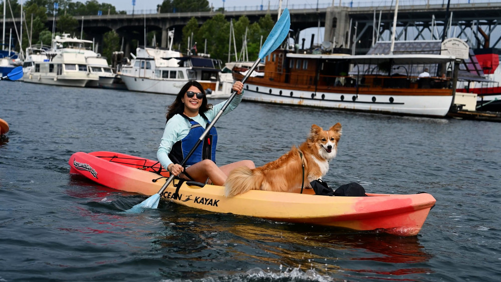 Smooth Classic Kayak Tour - Single Kayak