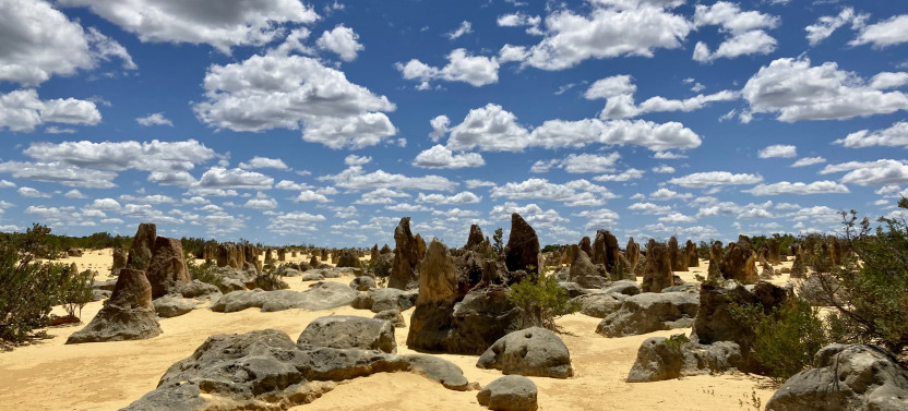 Pinnacles Day Tour